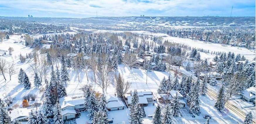 snowy varsity calgary